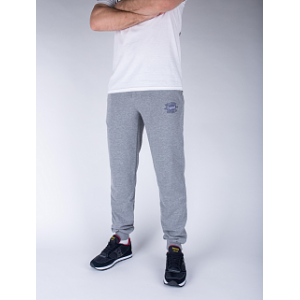 Спортивні штани Big Shark - Premium, Grey